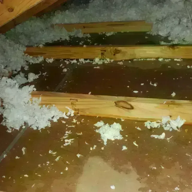 Attic Water Damage in Camillus, NY